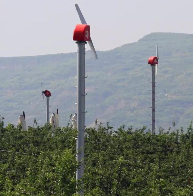 Wind Machines/Fan in a Vineyard or Orchard (FSJD-5.5)